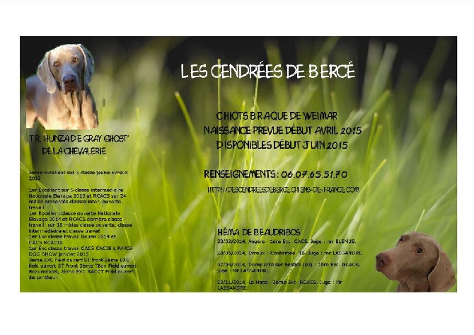 Des Cendrées De Bercé - Une nouvelle aventure !