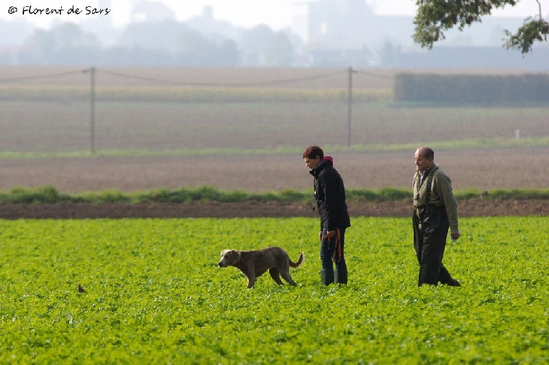 TAN 10 octobre 2015 - Cully (14) CABW
